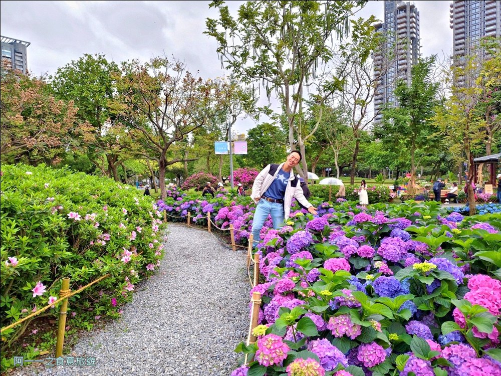 大安森林公園繡球花展.台北杜鵑花季