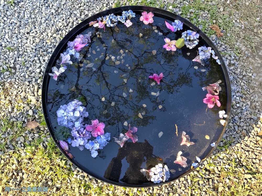 台北杜鵑花季.大安森林公園.賞花景點.繡球花水池