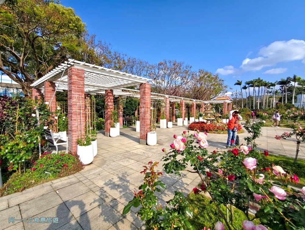 台北玫瑰園.新生公園.賞花景點.免費