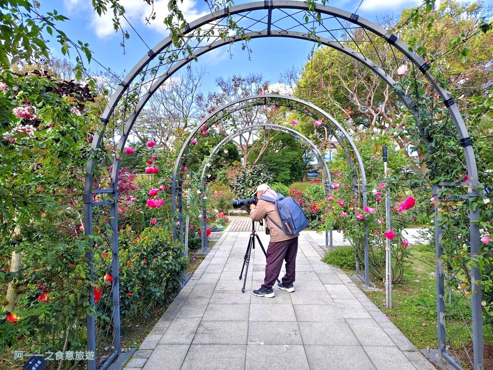 台北玫瑰園.新生公園.賞花景點.免費
