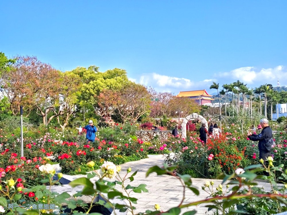 台北玫瑰園.新生公園.賞花景點.免費