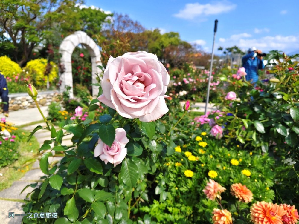 台北玫瑰園.新生公園.賞花景點.免費