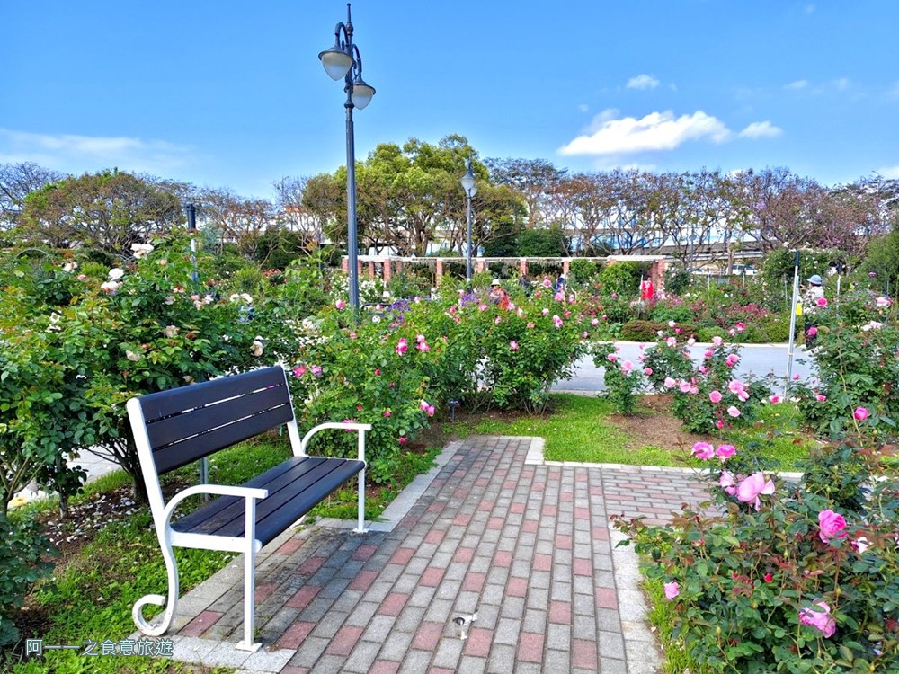 台北玫瑰園.新生公園.賞花景點.免費