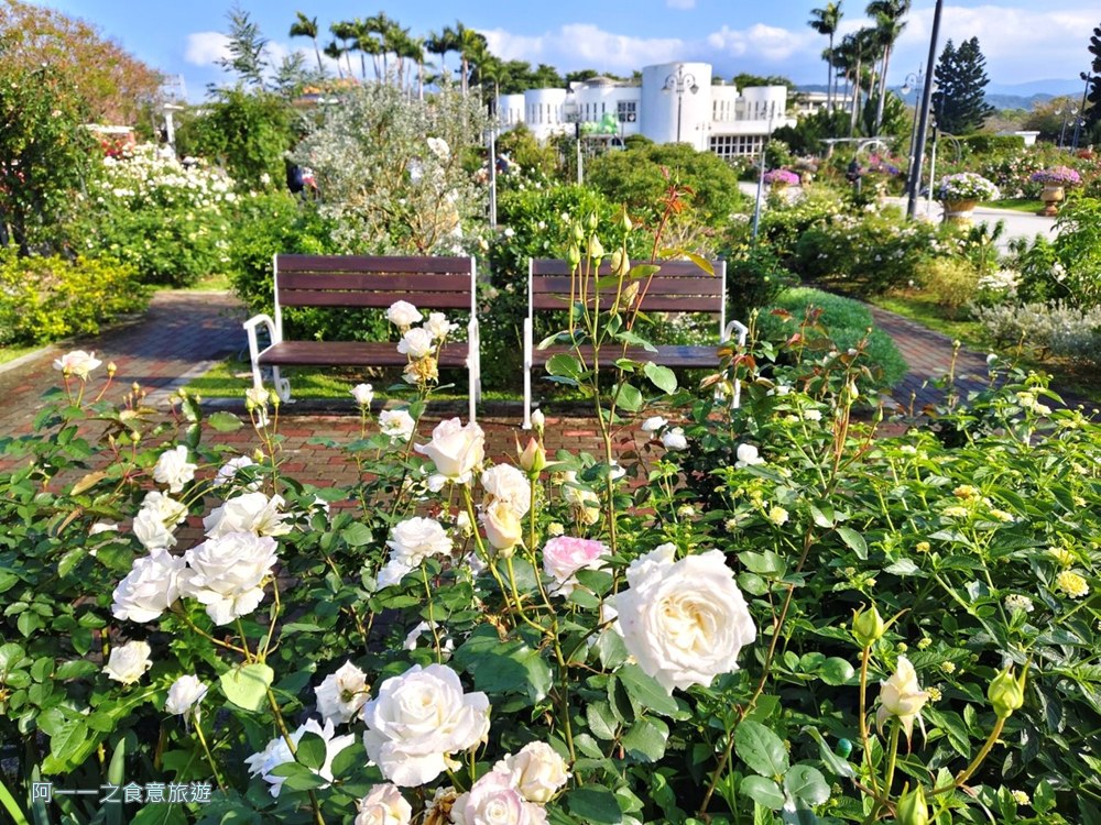 台北玫瑰園.新生公園.賞花景點.免費