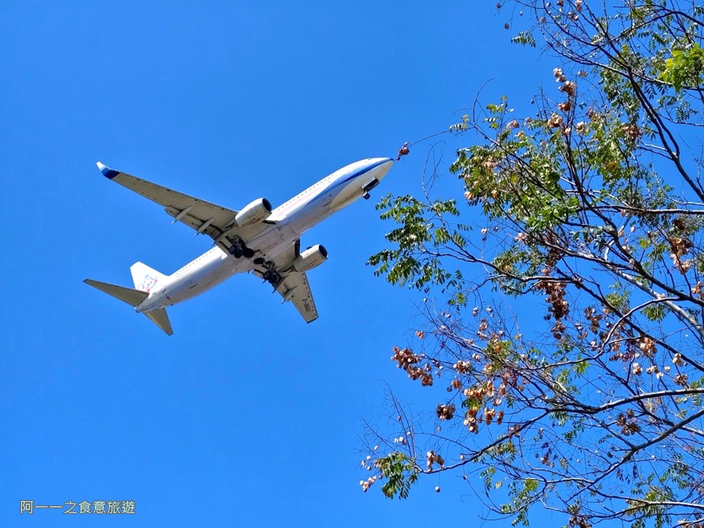 台北玫瑰園.新生公園.賞花景點.飛機