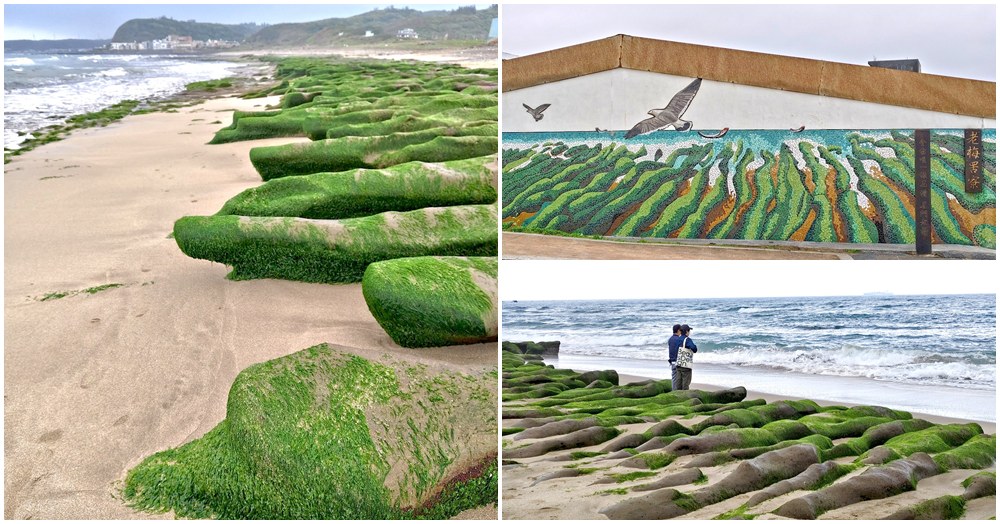 石門老梅綠石槽｜北海岸期間限定秘境 免門票、交通、最佳觀賞時間，拍出你的IG夢幻美照