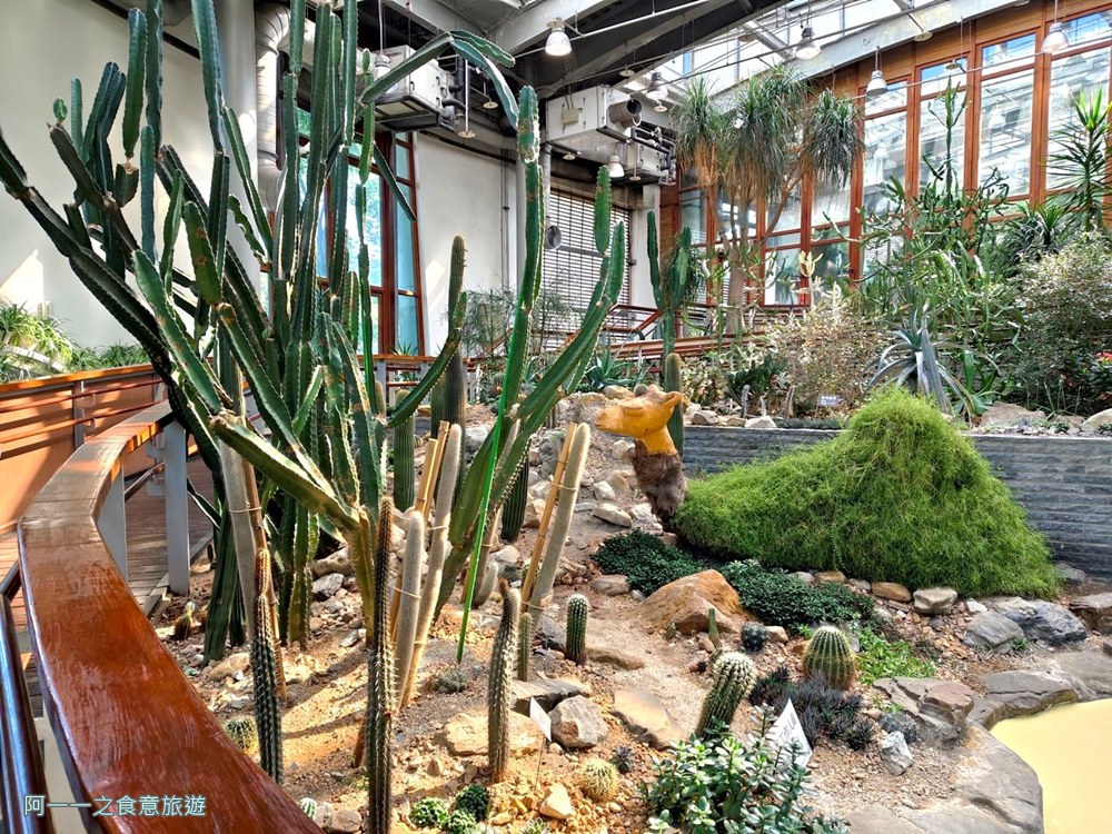 台北典藏植物園.免費親子景點.雨天備案