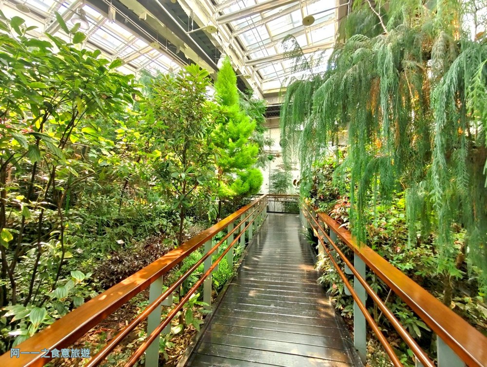 台北典藏植物園.免費親子景點.雨天備案