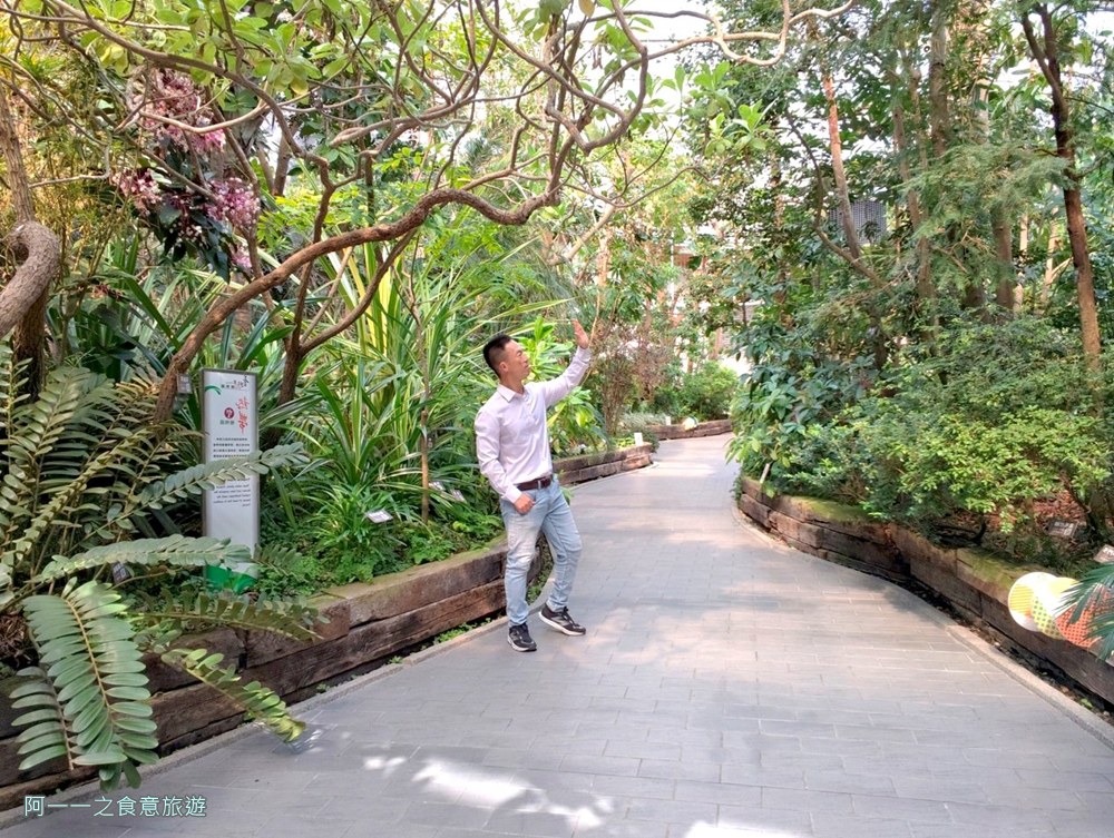 台北典藏植物園.免費親子景點.雨天備案