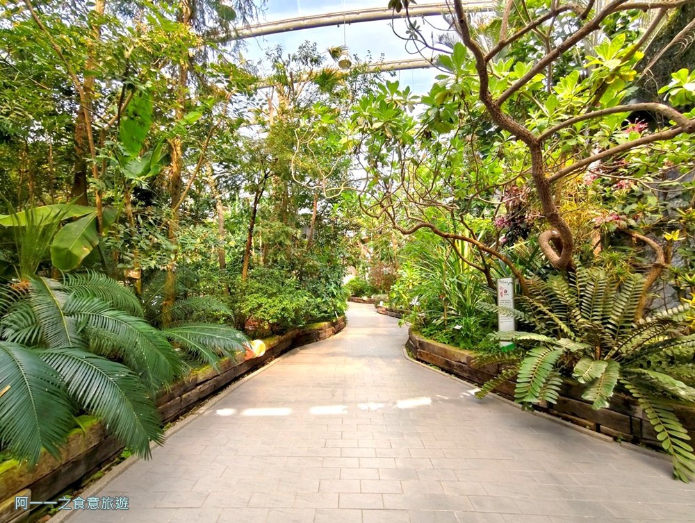 台北典藏植物園.免費親子景點.雨天備案