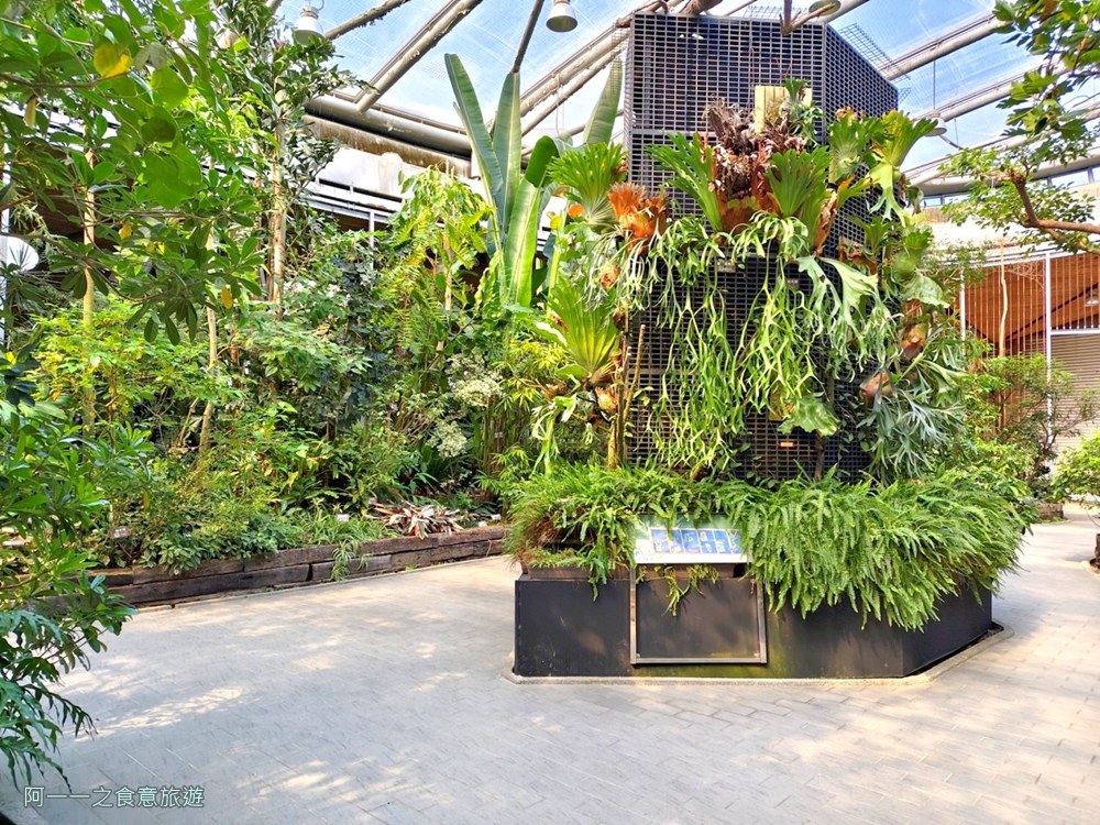 台北典藏植物園.免費親子景點.雨天備案