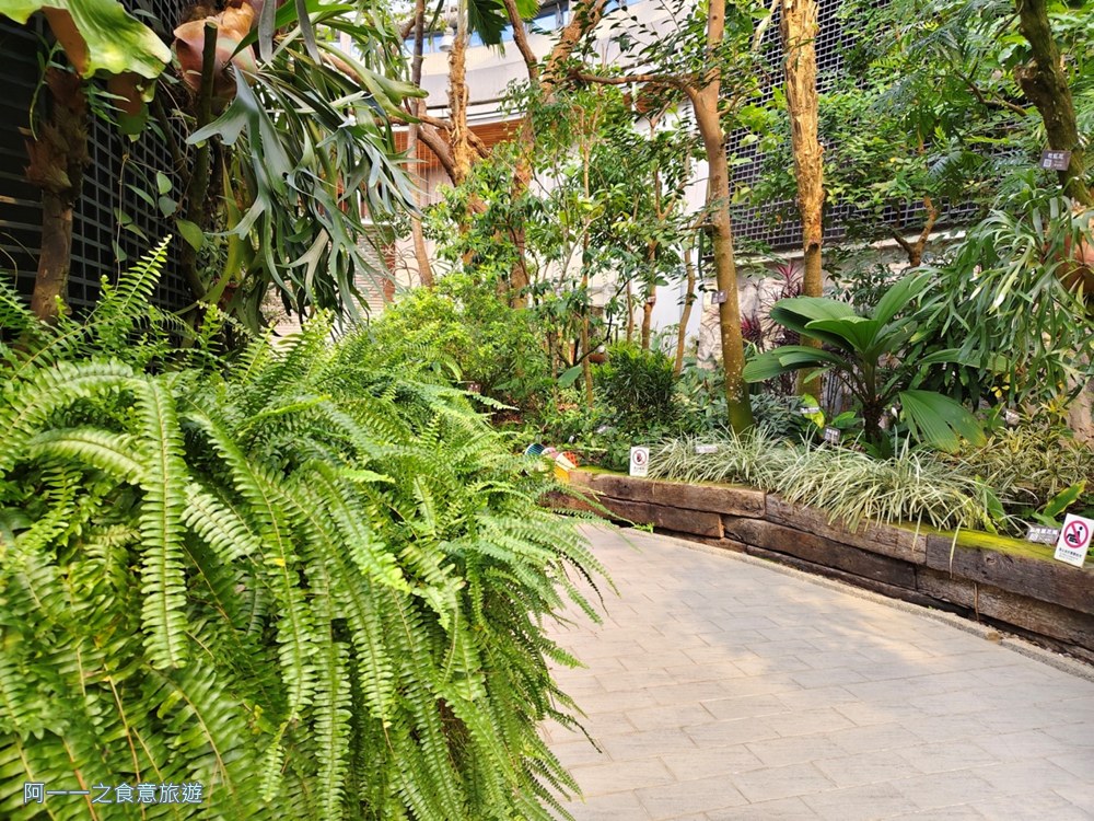 台北典藏植物園.免費親子景點.雨天備案