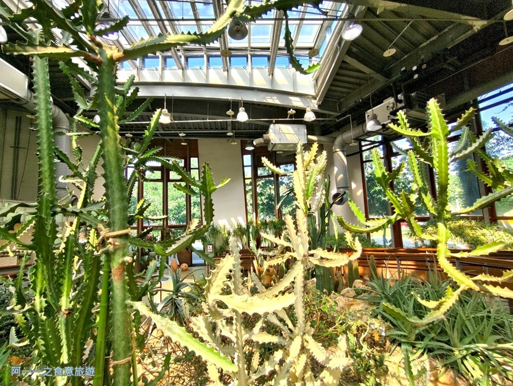 台北典藏植物園.免費親子景點.雨天備案