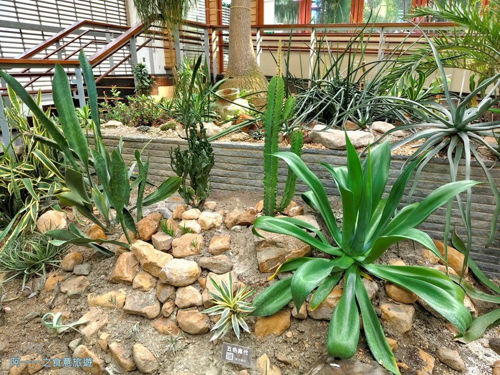 台北典藏植物園.免費親子景點.雨天備案