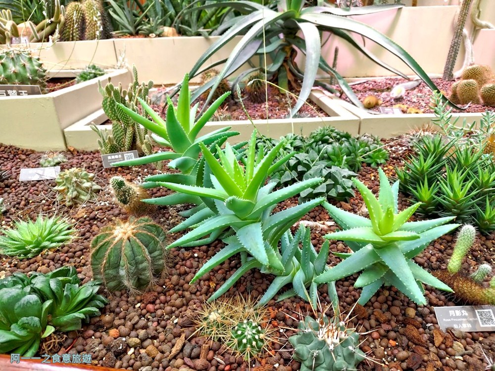 台北典藏植物園.免費親子景點.雨天備案