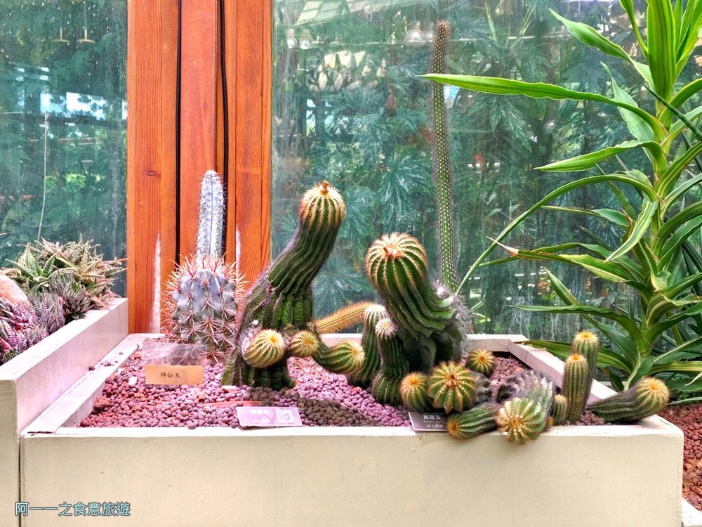 台北典藏植物園.免費親子景點.雨天備案