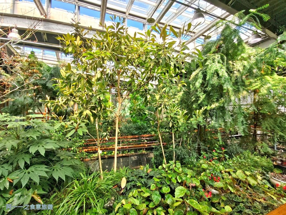 台北典藏植物園.免費親子景點.雨天備案