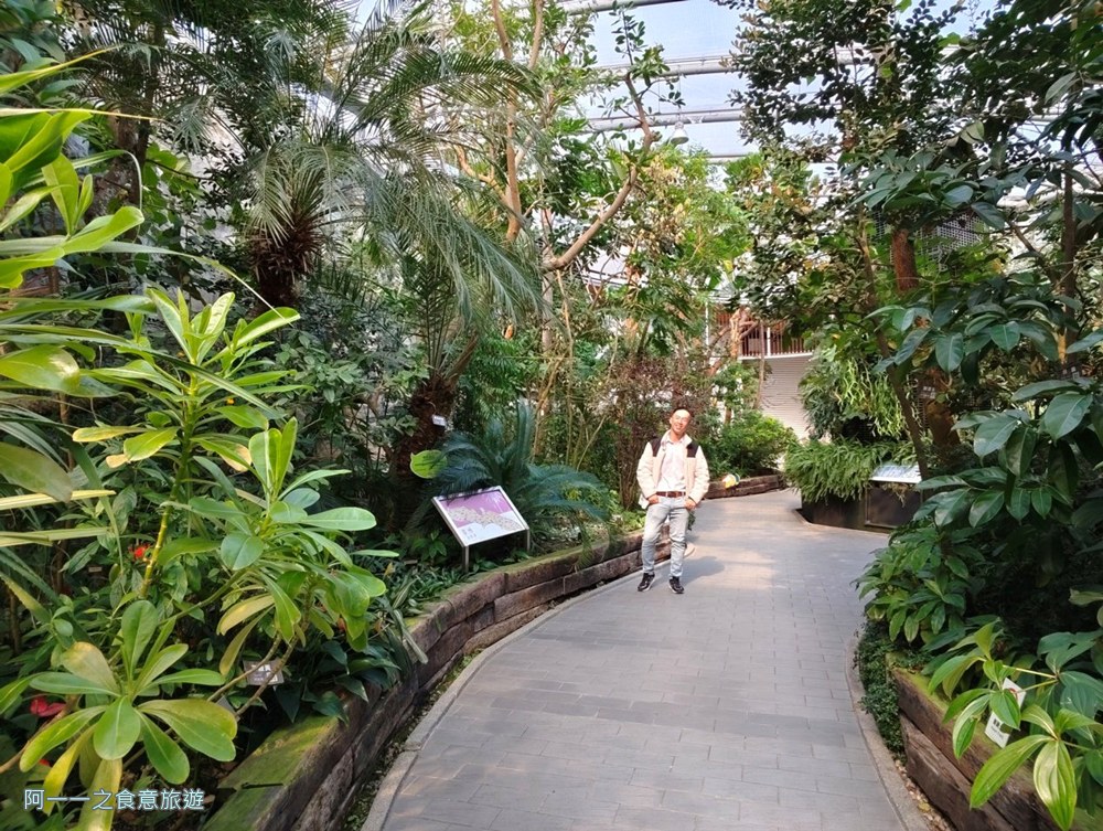 台北典藏植物園.免費親子景點.雨天備案