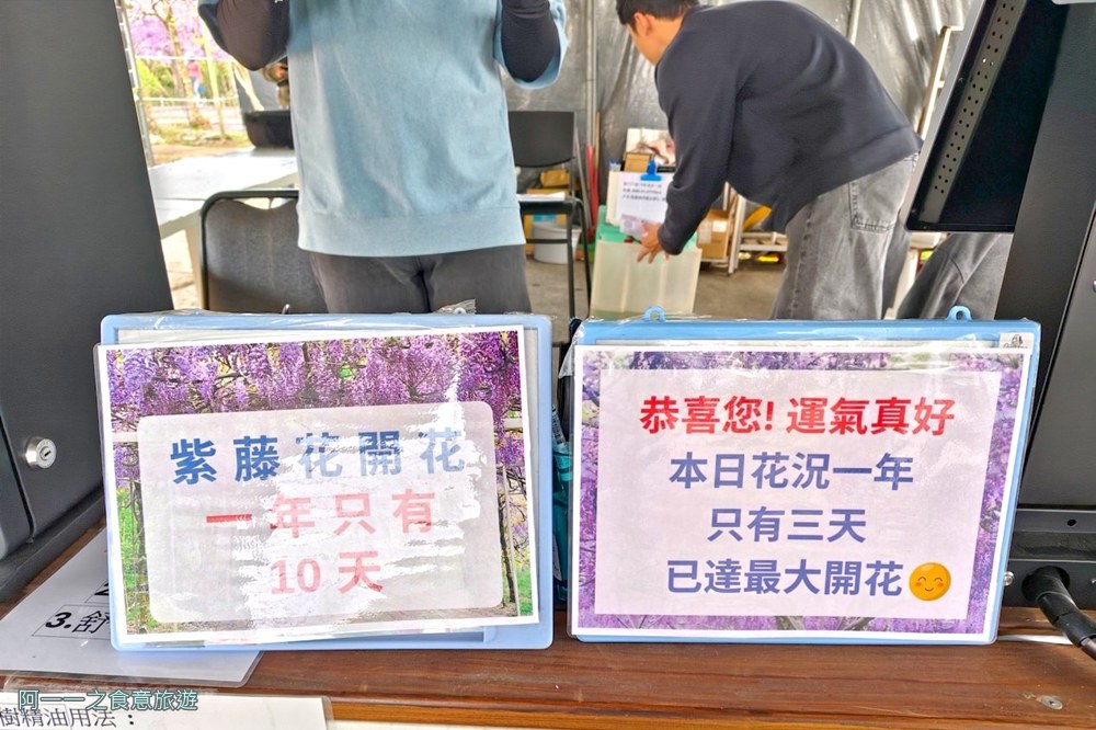 淡水紫藤花園二號水源園區.北海岸秘境.ig景點