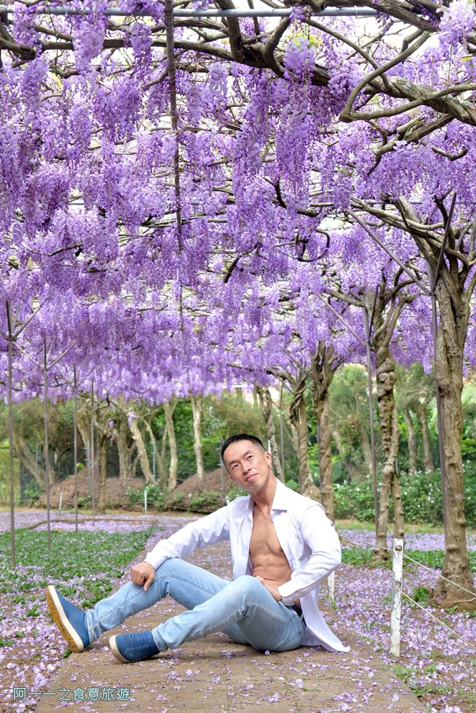 淡水紫藤花園二號水源園區.北海岸秘境.ig景點