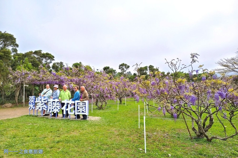 淡水紫藤花園二號水源園區.北海岸秘境.ig景點