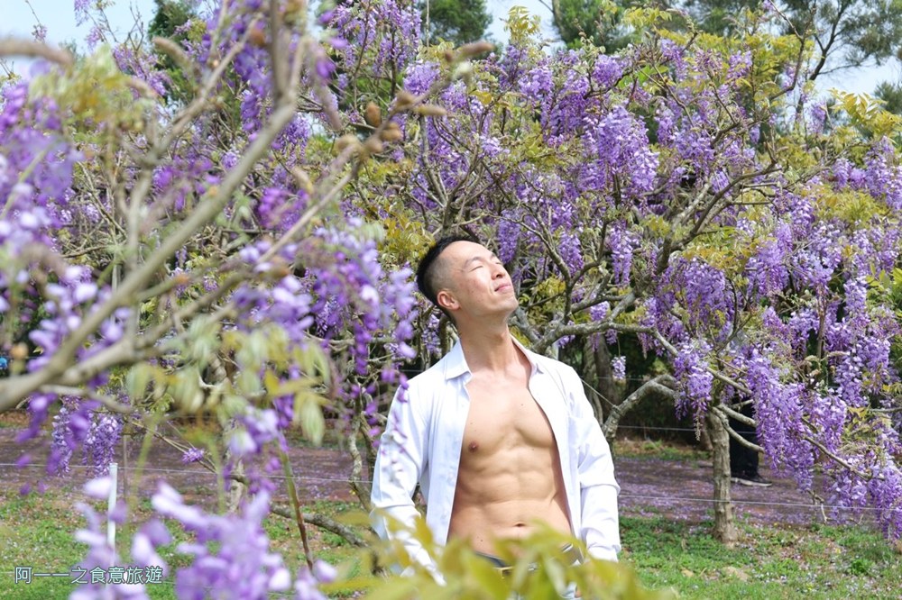 淡水紫藤花園二號水源園區.北海岸秘境.ig景點