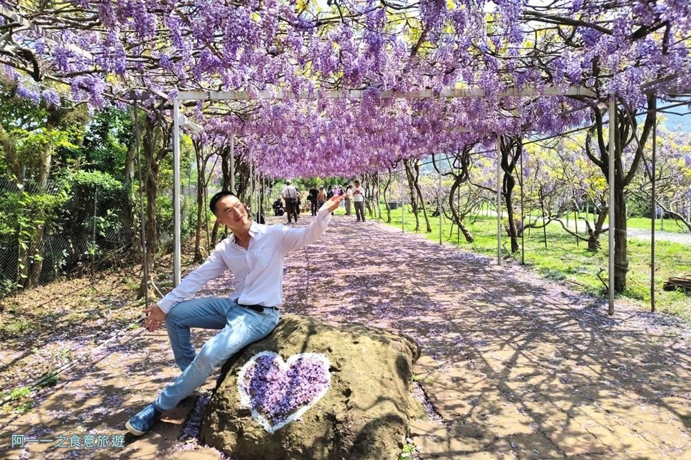 淡水紫藤花園二號水源園區.北海岸秘境.ig景點