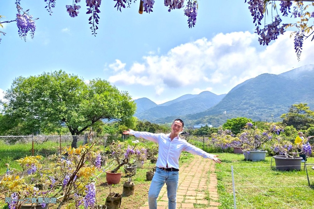 淡水紫藤花園二號水源園區.北海岸秘境.ig景點