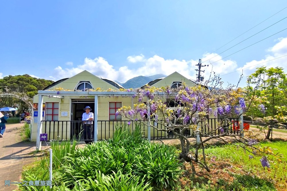 淡水紫藤花園二號水源園區.北海岸秘境.ig景點