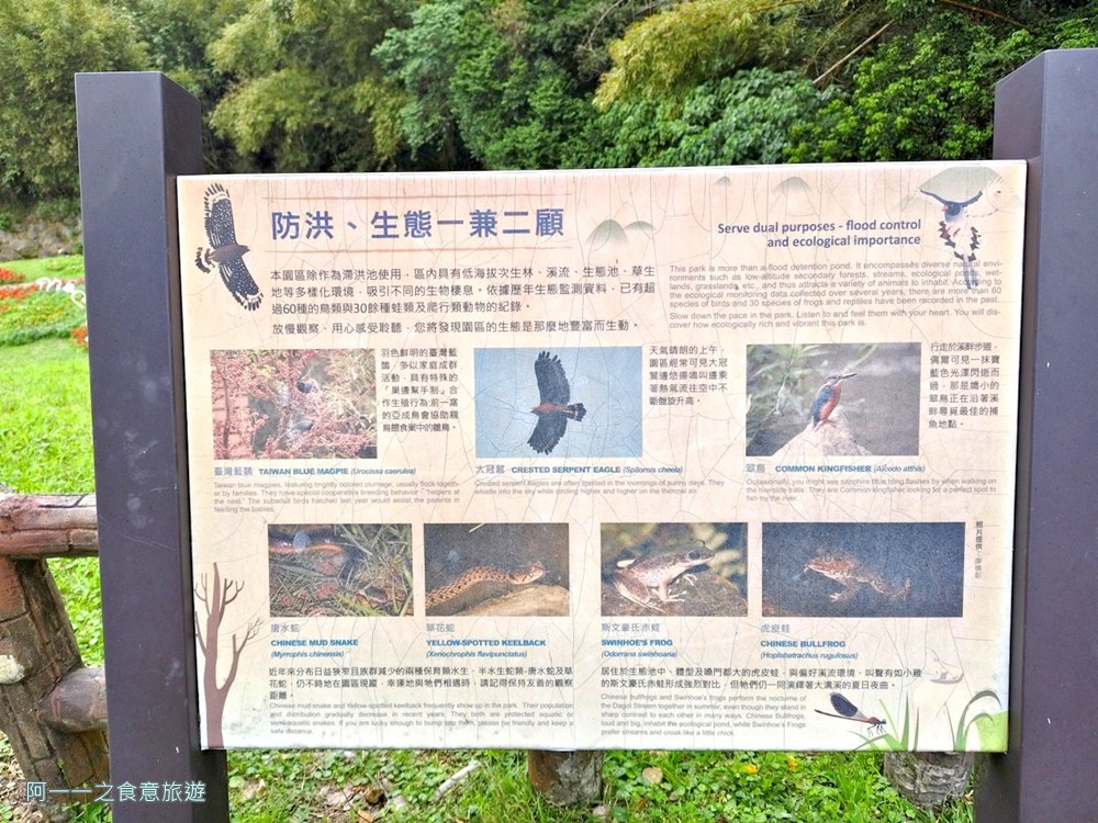 大溝溪親水步道.台北內湖秘境