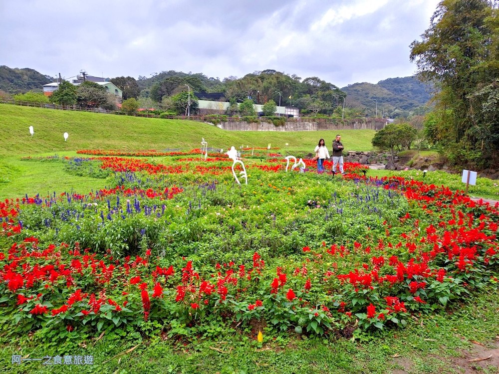 大溝溪親水步道.台北內湖秘境.花海