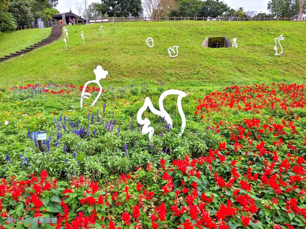 大溝溪親水步道.台北內湖秘境.花海