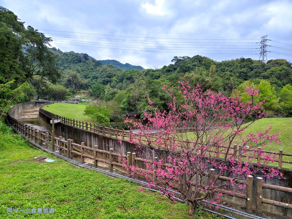 大溝溪親水步道.台北內湖秘境.花海