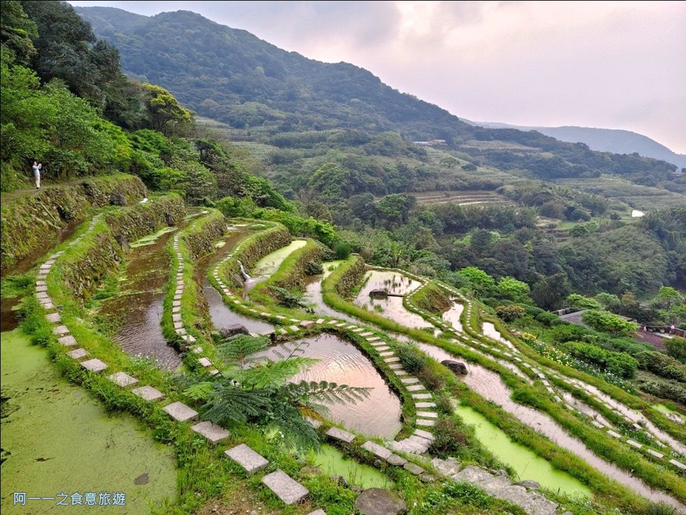 石門嵩山百年梯田.鳶尾花.北海岸秘境