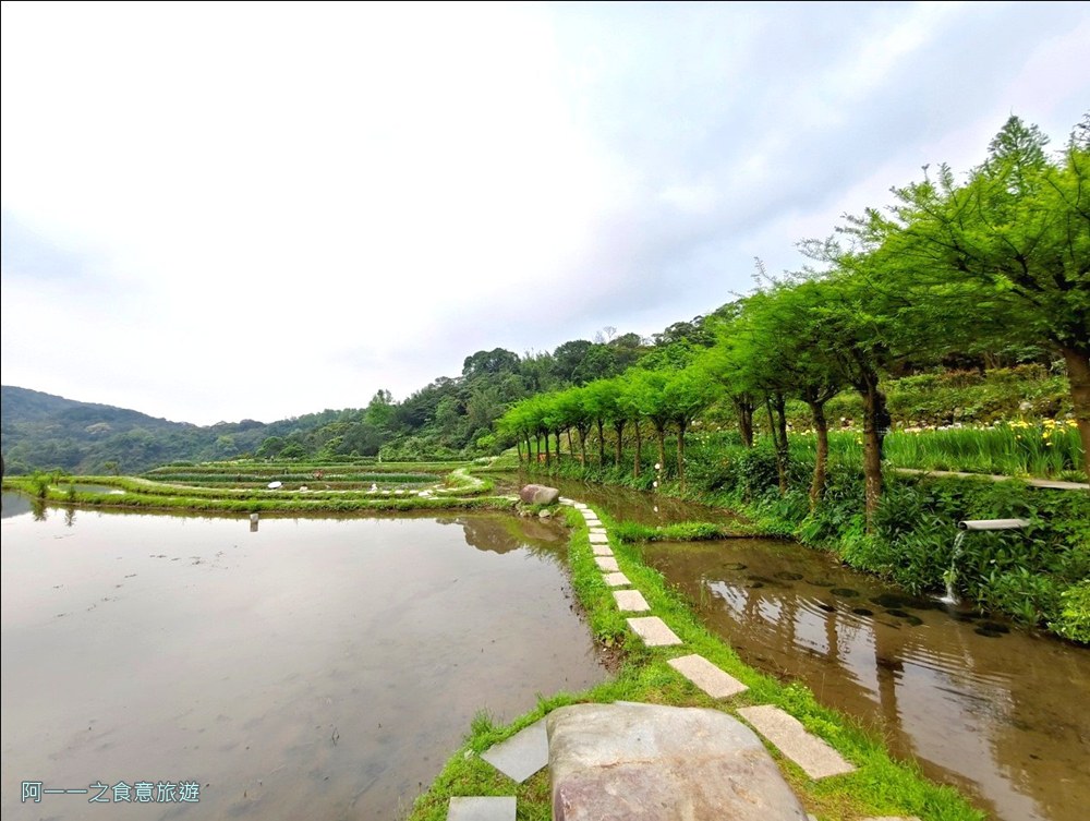 石門嵩山百年梯田.鳶尾花.北海岸秘境