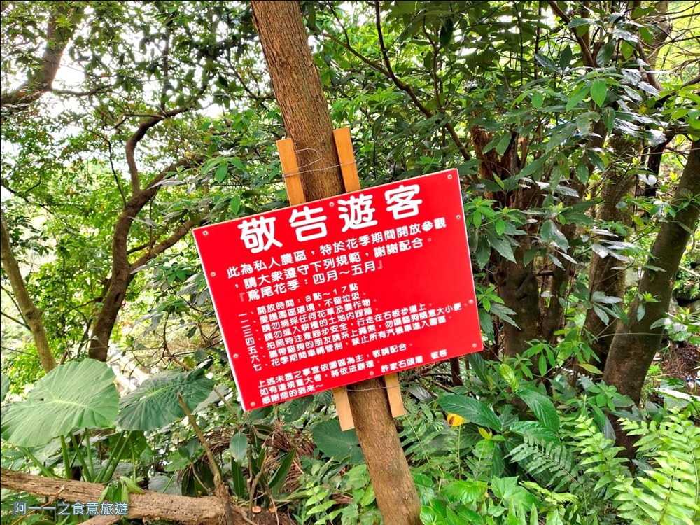 石門嵩山百年梯田.北海岸秘境