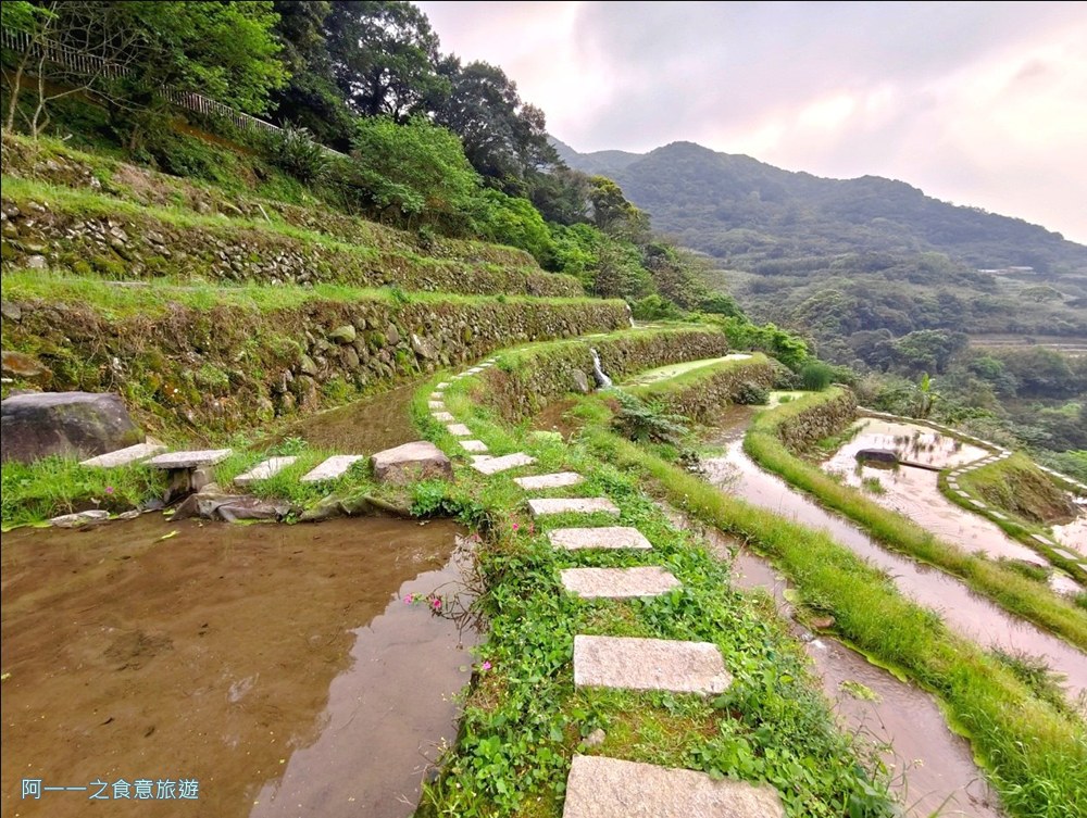 石門嵩山百年梯田.北海岸秘境