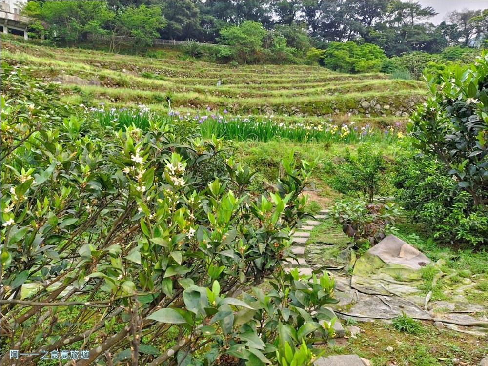 石門嵩山百年梯田.北海岸秘境