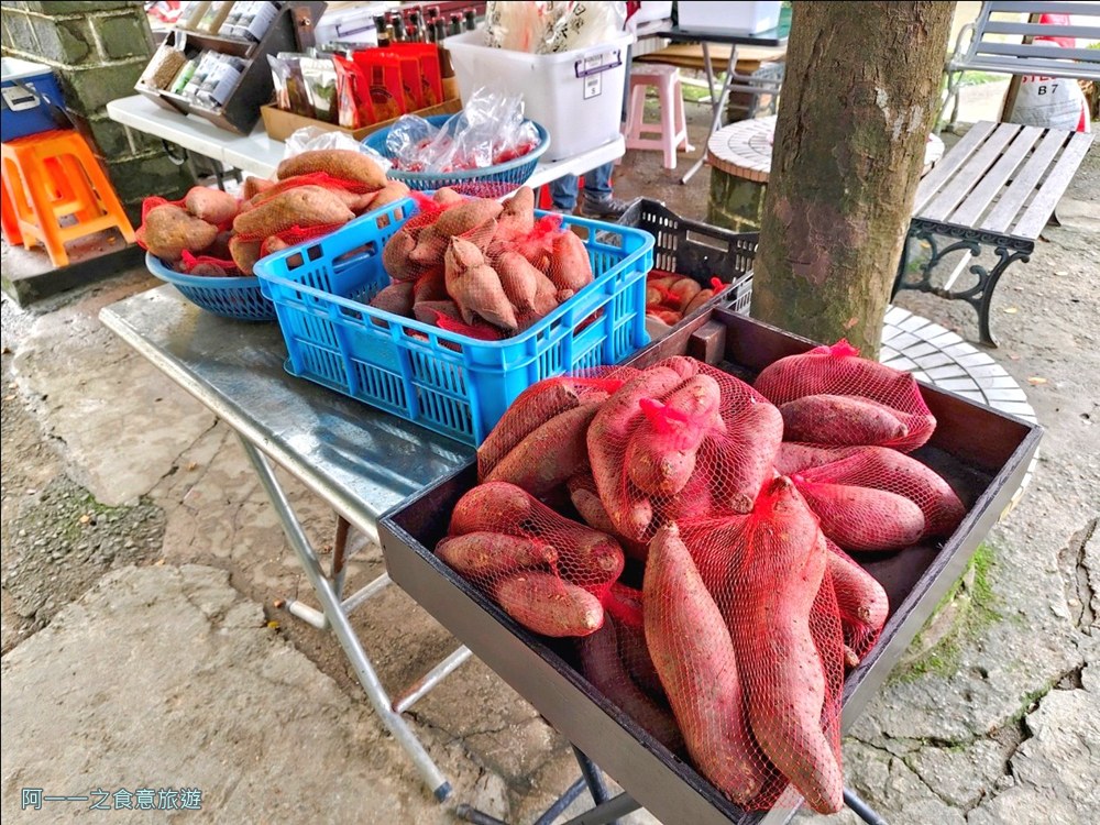 石門嵩山百年梯田.北海岸秘境