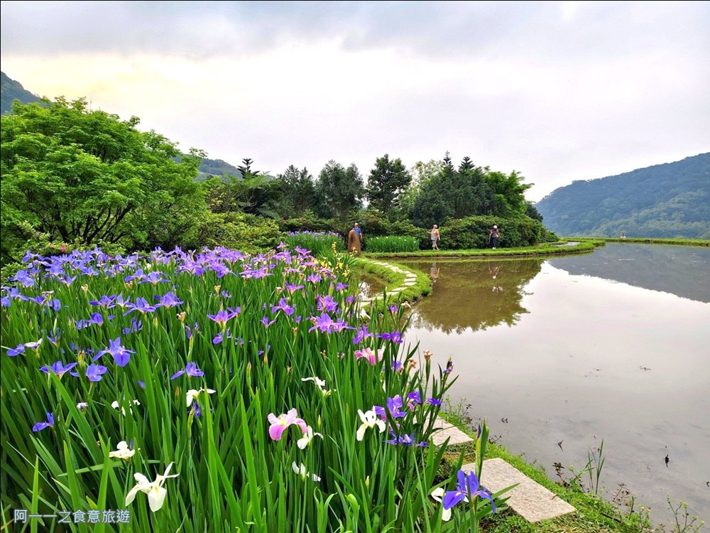 石門嵩山百年梯田.鳶尾花.北海岸秘境