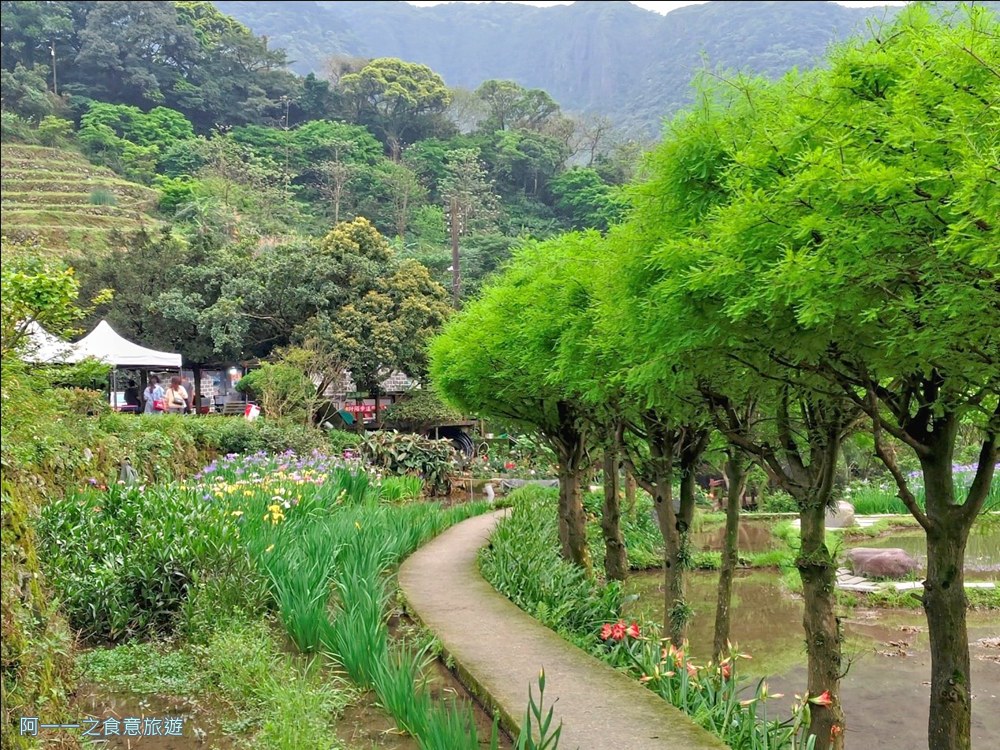 石門嵩山百年梯田.北海岸秘境