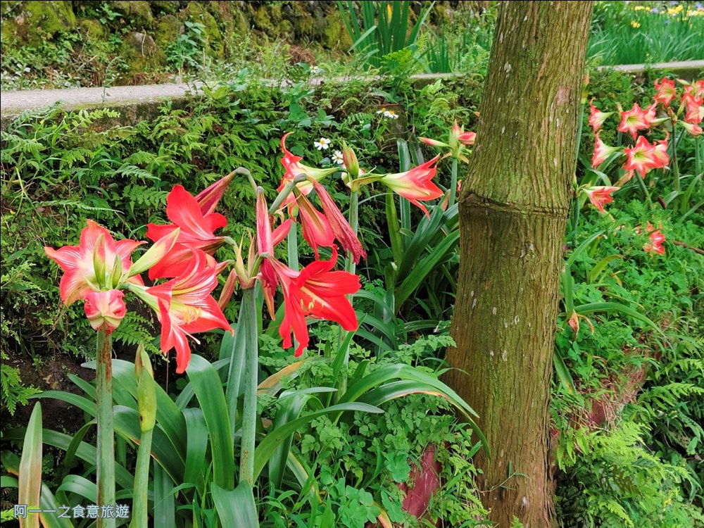 石門嵩山百年梯田.北海岸秘境
