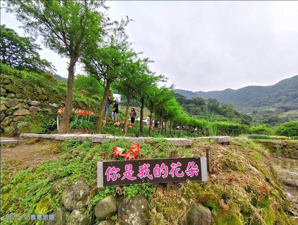 石門嵩山百年梯田.北海岸秘境