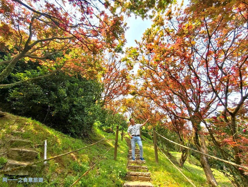 台北奧萬大.陽明山賞楓景點