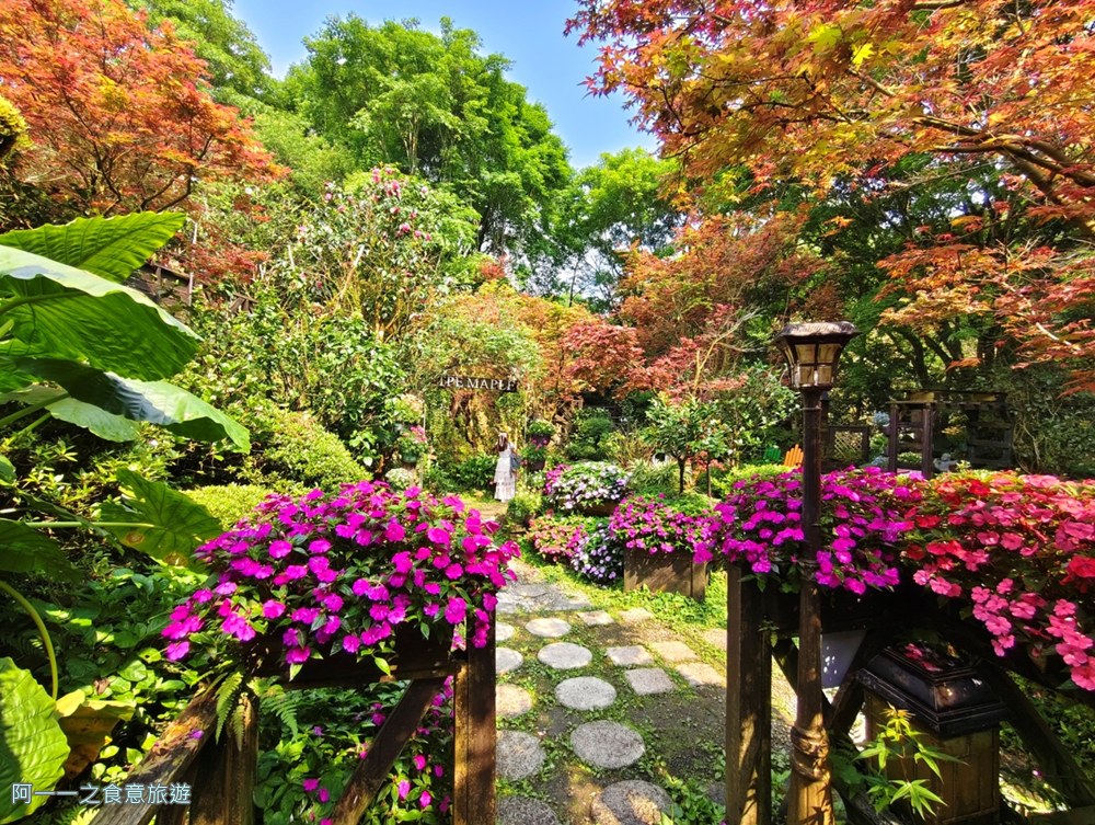 台北奧萬大.陽明山賞楓景點