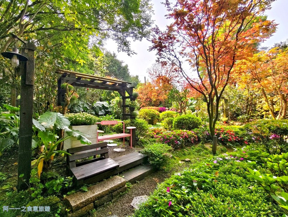 台北奧萬大.陽明山賞楓景點