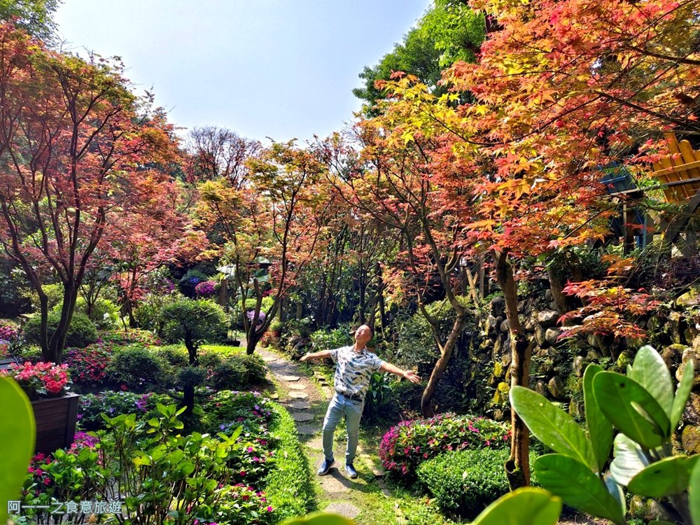 台北奧萬大.陽明山賞楓景點