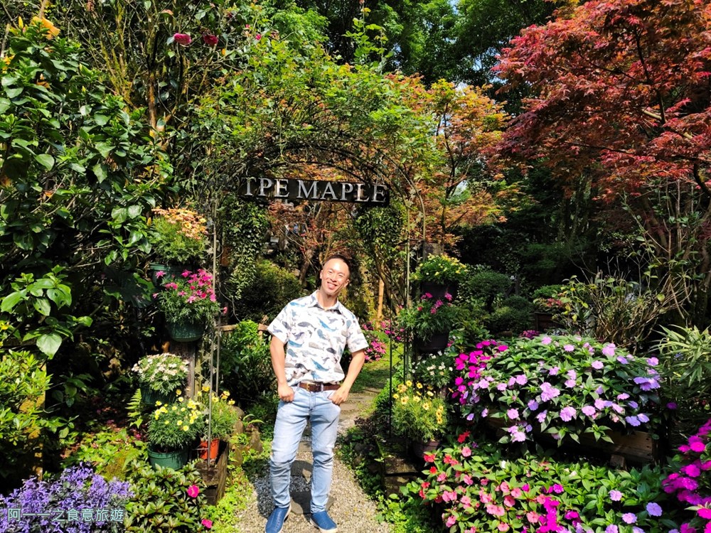 台北奧萬大.陽明山賞楓景點