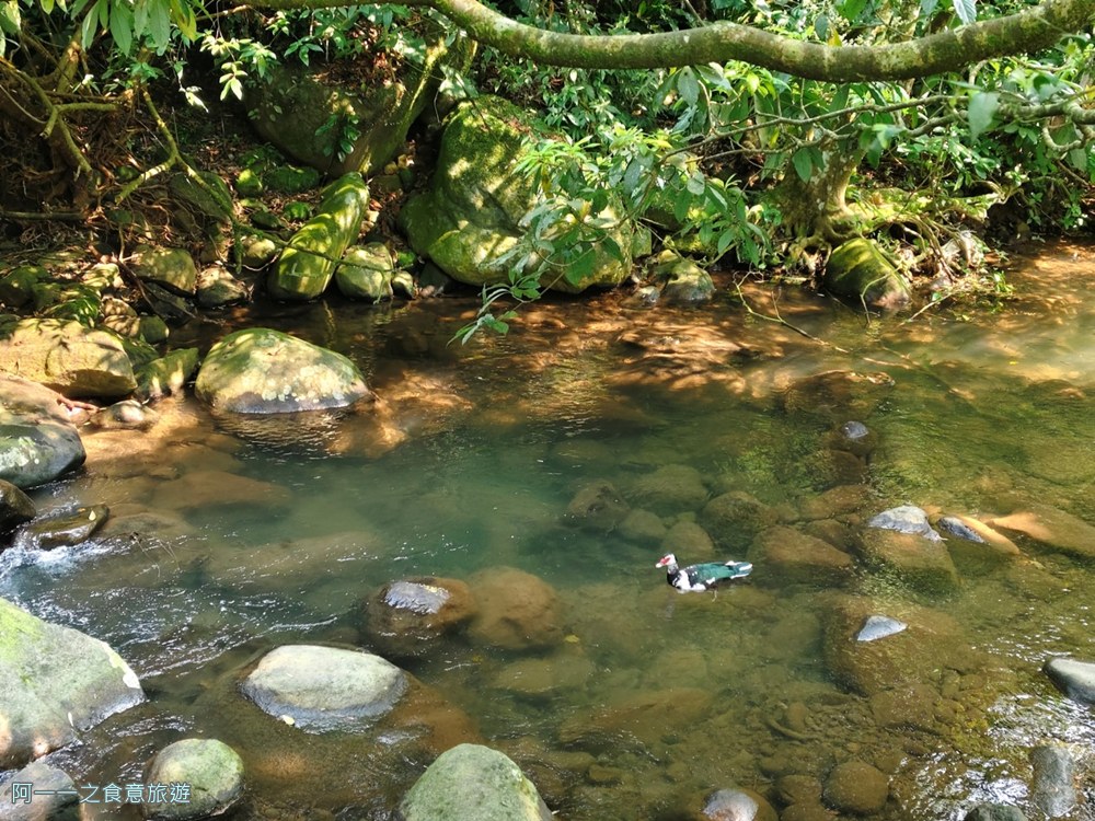 台北奧萬大.陽明山賞楓景點.玩水