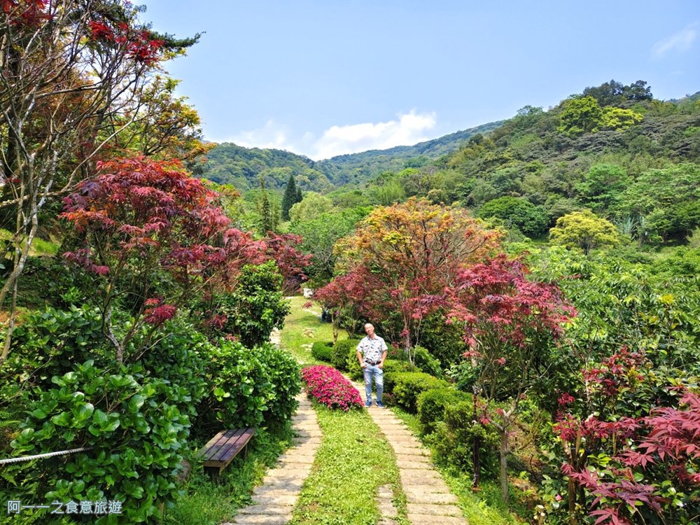 台北奧萬大.陽明山賞楓景點
